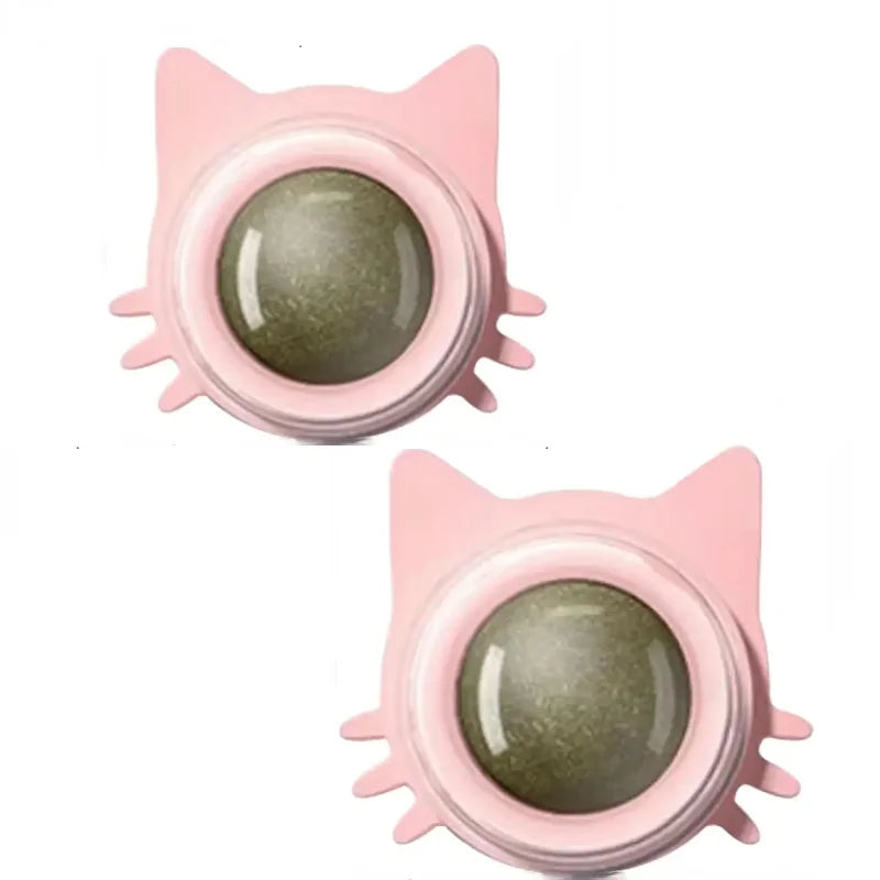 Catnip Natural Para Gatos