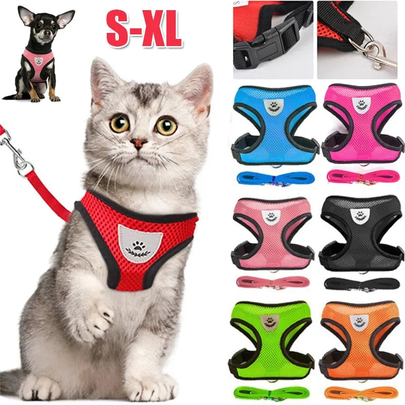 Coleira Guia Peitoral Para Cães e Gatos