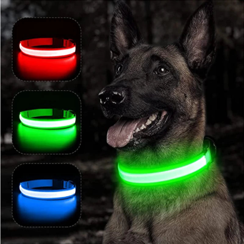 Coleira com Led coloridos Noturno para animais de estimação