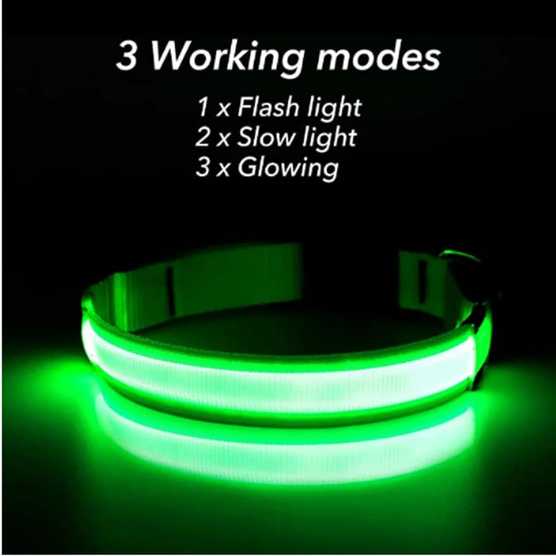 Coleira com Led coloridos Noturno para animais de estimação