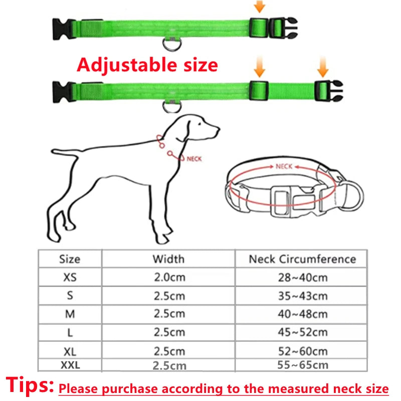 Coleira com Led coloridos Noturno para animais de estimação